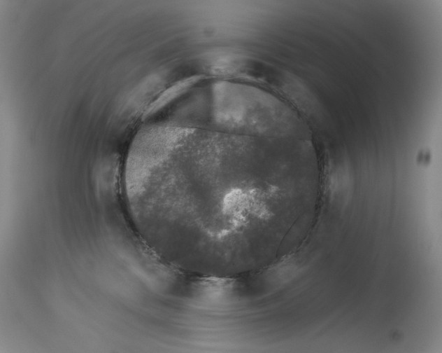 X0000113940328200911061247