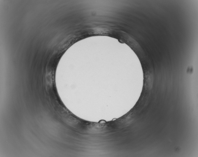 X0000113940329200911061247