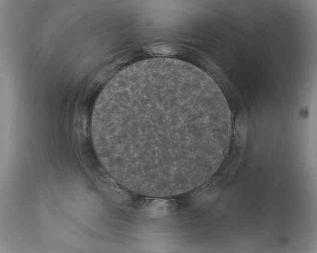 X0000113940330200911061247