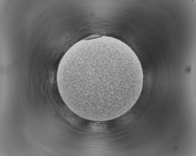 X0000113940331200911061247
