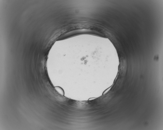 X0000113940333200911061247