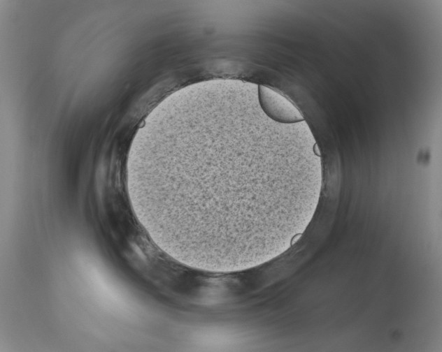 X0000113940334200911061247