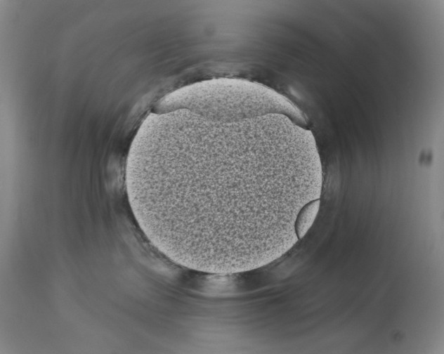 X0000113940335200911061247