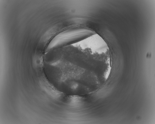 X0000113940336200911061247
