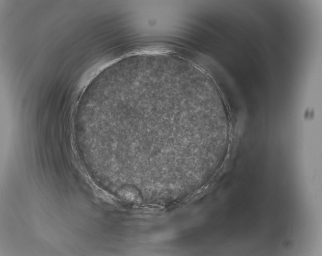 X0000113940337200911061246
