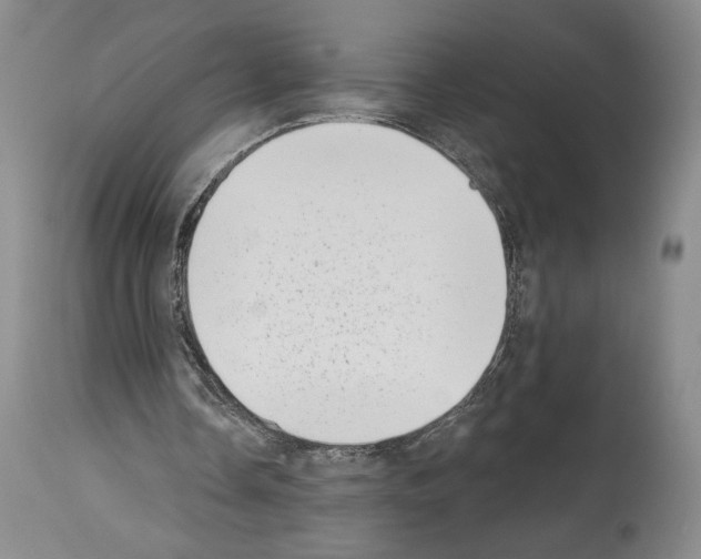X0000113940338200911061246
