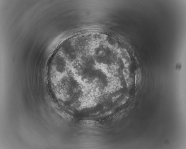 X0000113940339200911061246