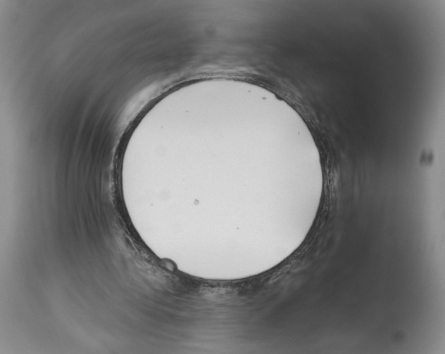 X0000113940340200911061246