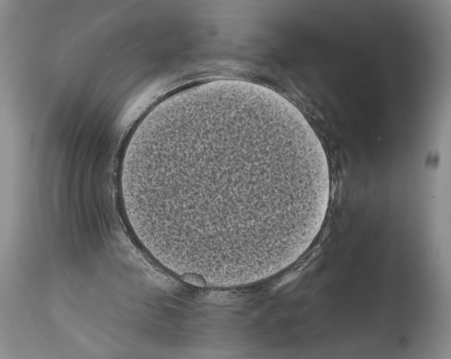 X0000113940341200911061246