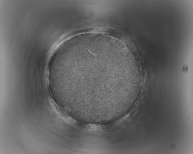 X0000113940343200911061246