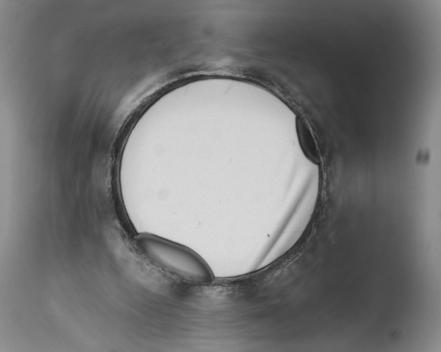 X0000113940344200911061246
