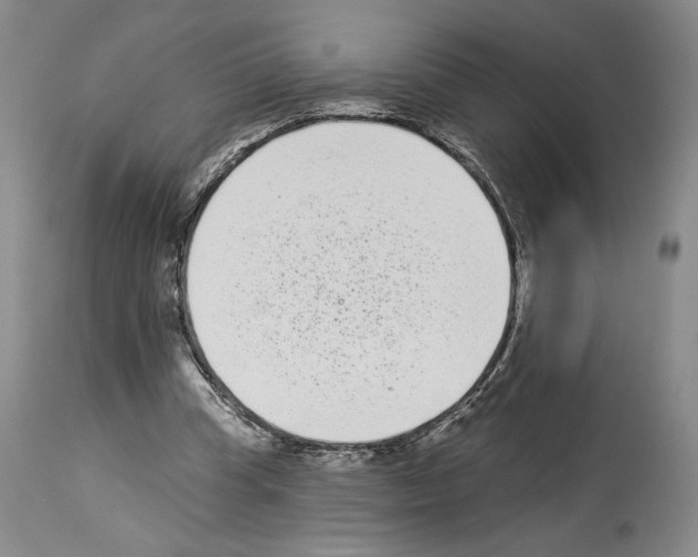 X0000113940345200911061246