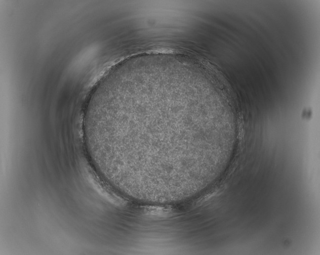 X0000113940347200911061246