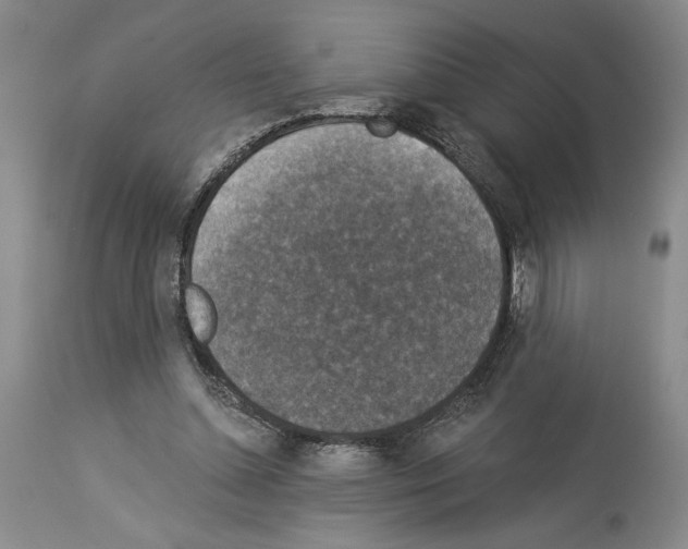 X0000113940348200911061246