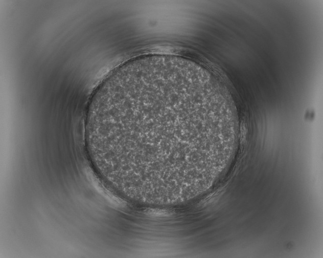 X0000113940349200911061246