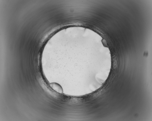 X0000113940350200911061246