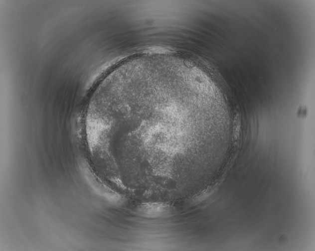 X0000113940351200911061246