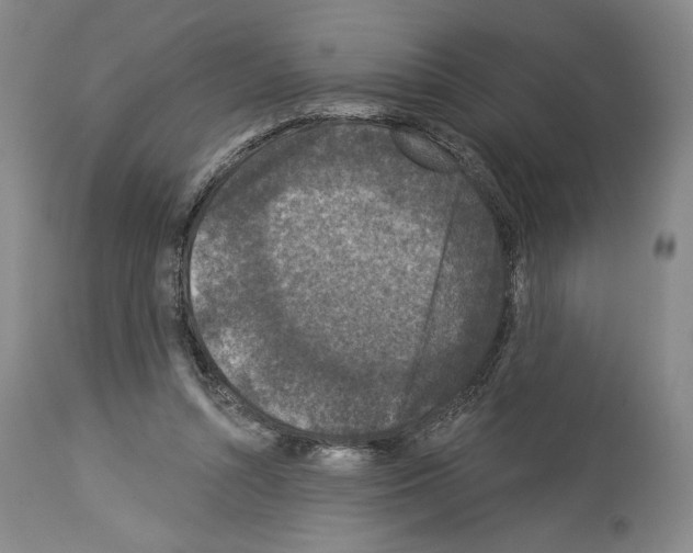 X0000113940352200911061246