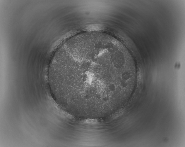 X0000113940353200911061246
