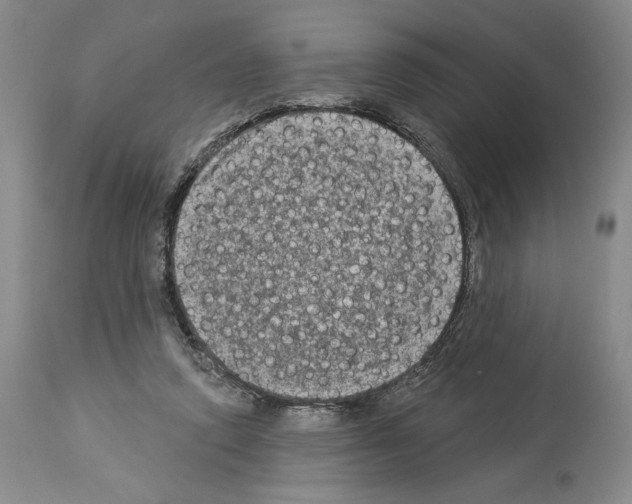 X0000113940354200911061246
