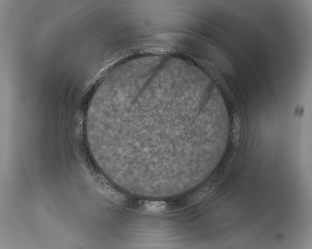 X0000113940355200911061246