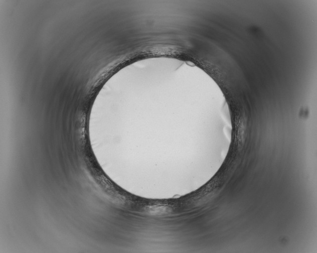 X0000113940356200911061246