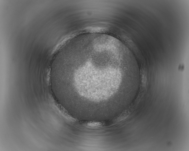 X0000113940357200911061246