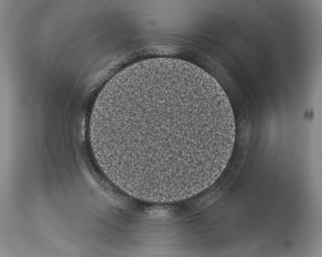 X0000113940358200911061246