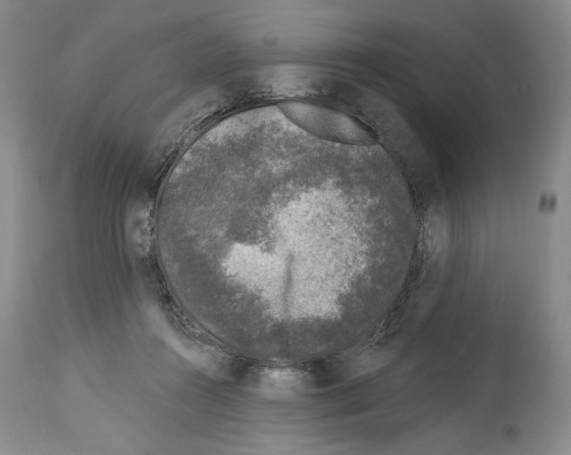 X0000113940360200911061246