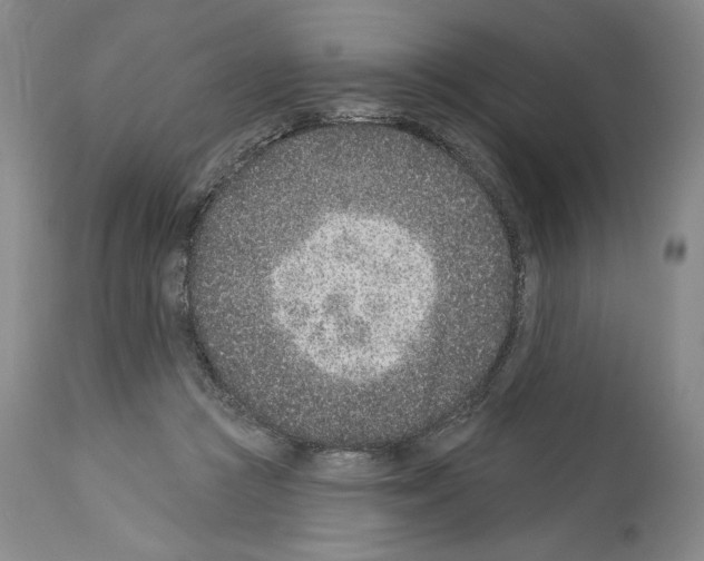 X0000113940361200911061246