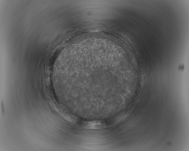 X0000113940366200911061247