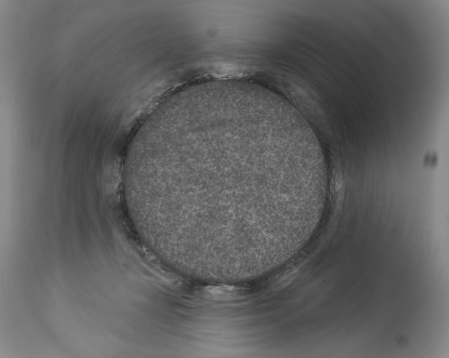 X0000113940367200911061247