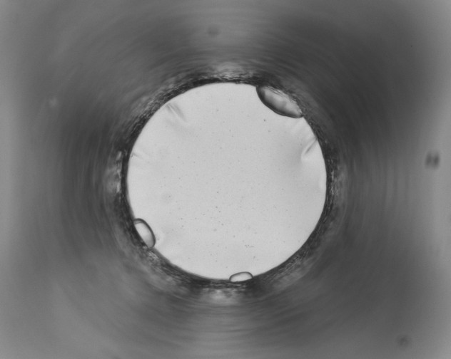 X0000113940368200911061247