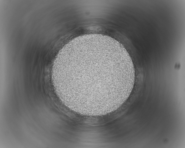 X0000113940369200911061247