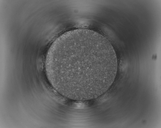 X0000113940370200911061247
