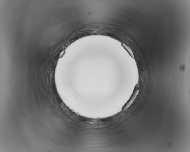 X0000113940372200911061247