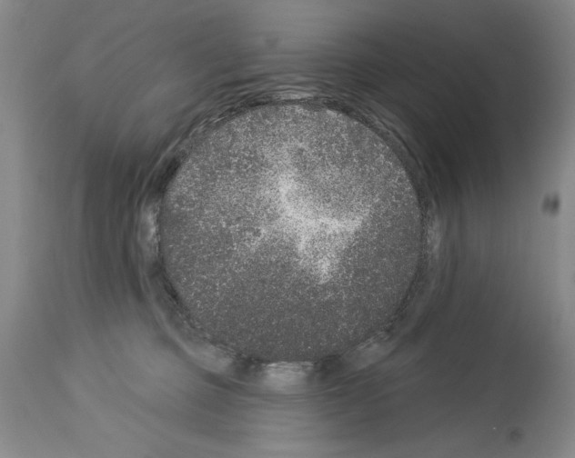 X0000113940373200911061247