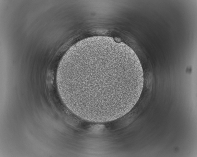X0000113940374200911061247