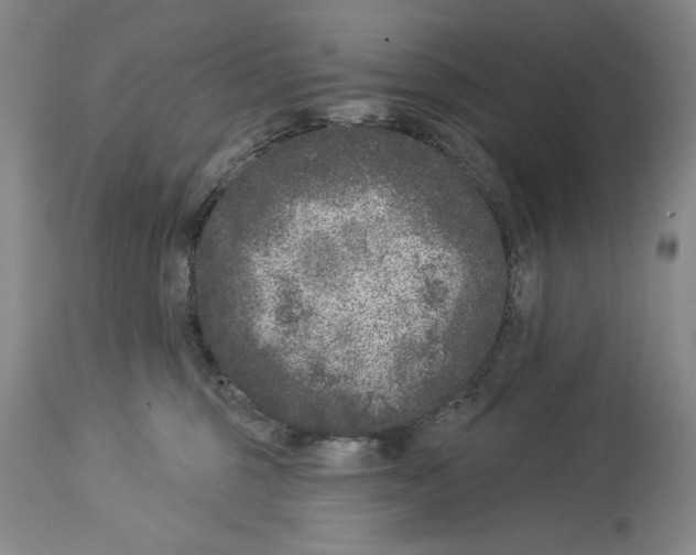 X0000113940375200911061247