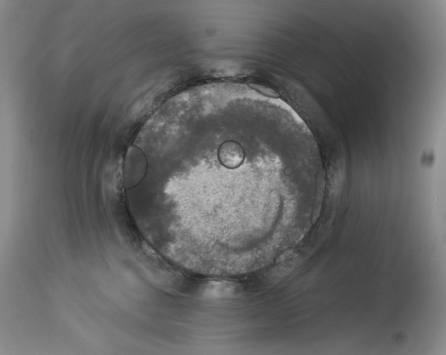X0000113940376200911061247