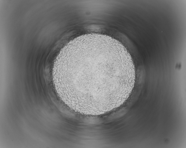 X0000113940377200911061247