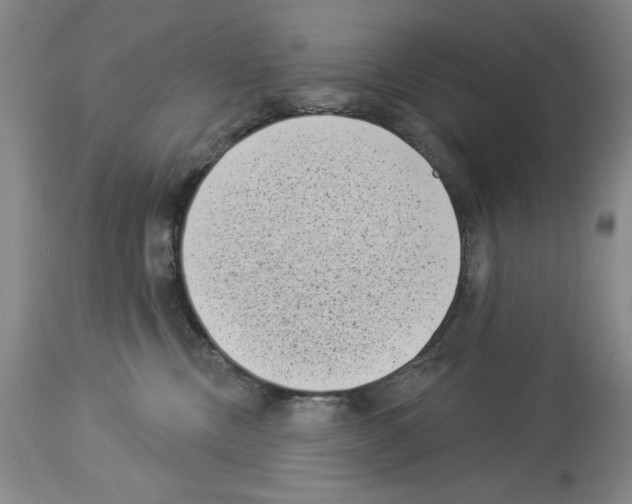 X0000113940378200911061247