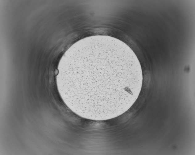 X0000113940379200911061247