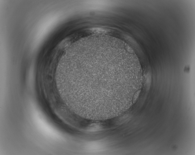 X0000113940381200911061247