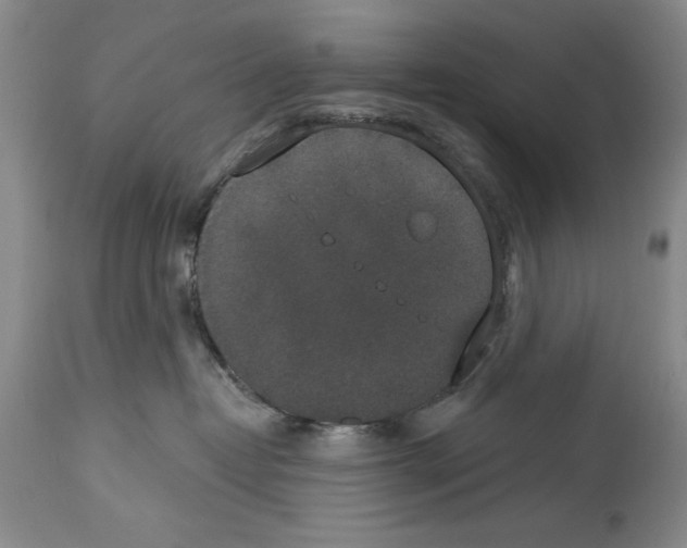X0000113940382200911061247