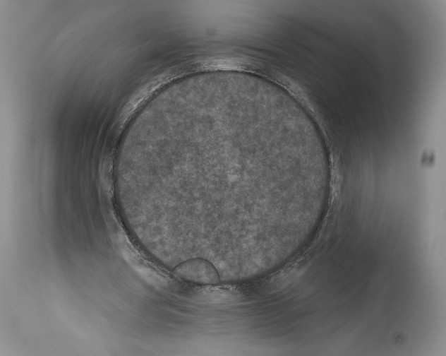 X0000113940386200911061246