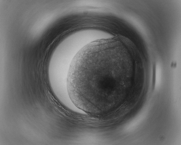 X0000113940387200911061246