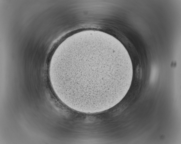 X0000113940388200911061246
