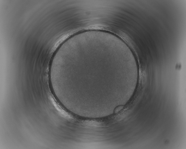 X0000113940389200911061246