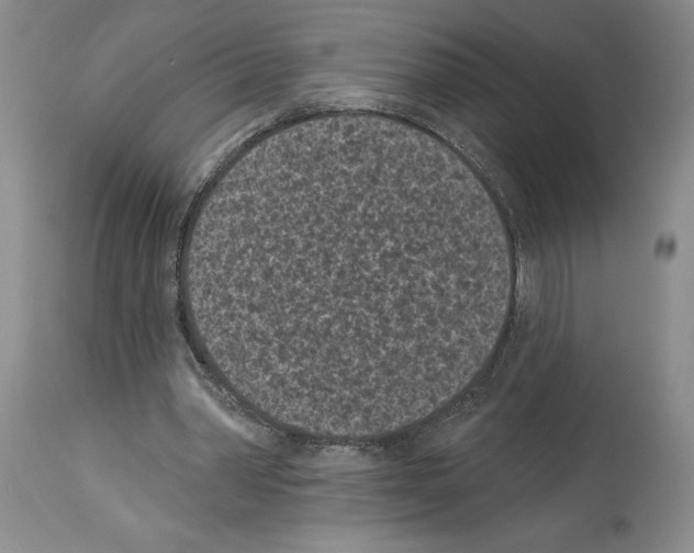 X0000113940390200911061246